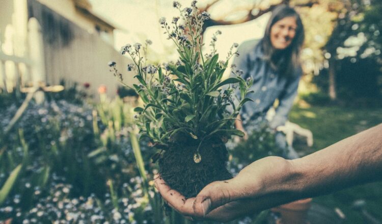 Fare giardinaggio aiuta il buonumore